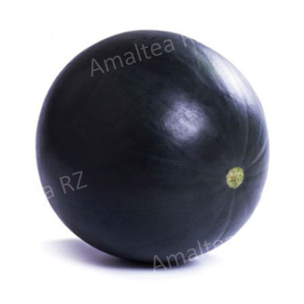 Amaltea-RZ-2