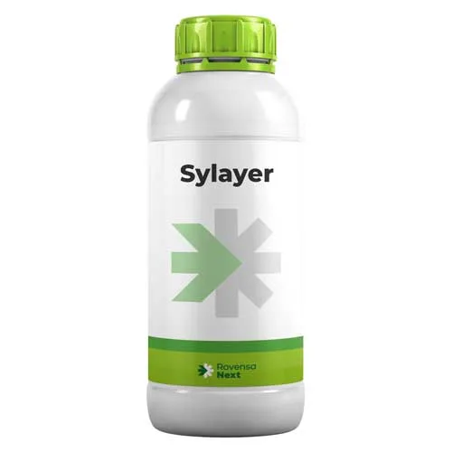 Sylayer-pic