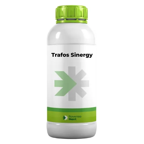 Trafos Sinergy