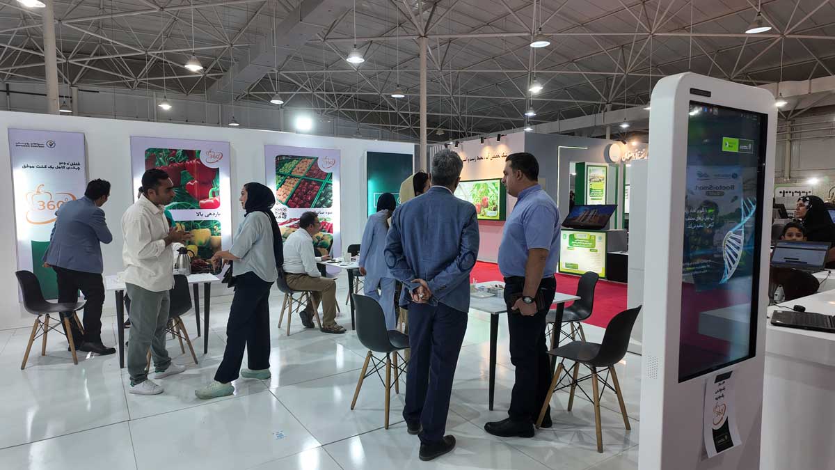 Gallery image 6